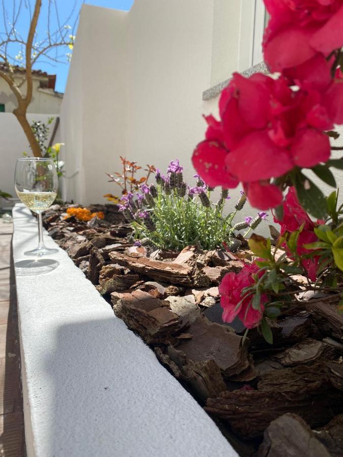 Casas Dos Seixos Villa Moledo  Dış mekan fotoğraf